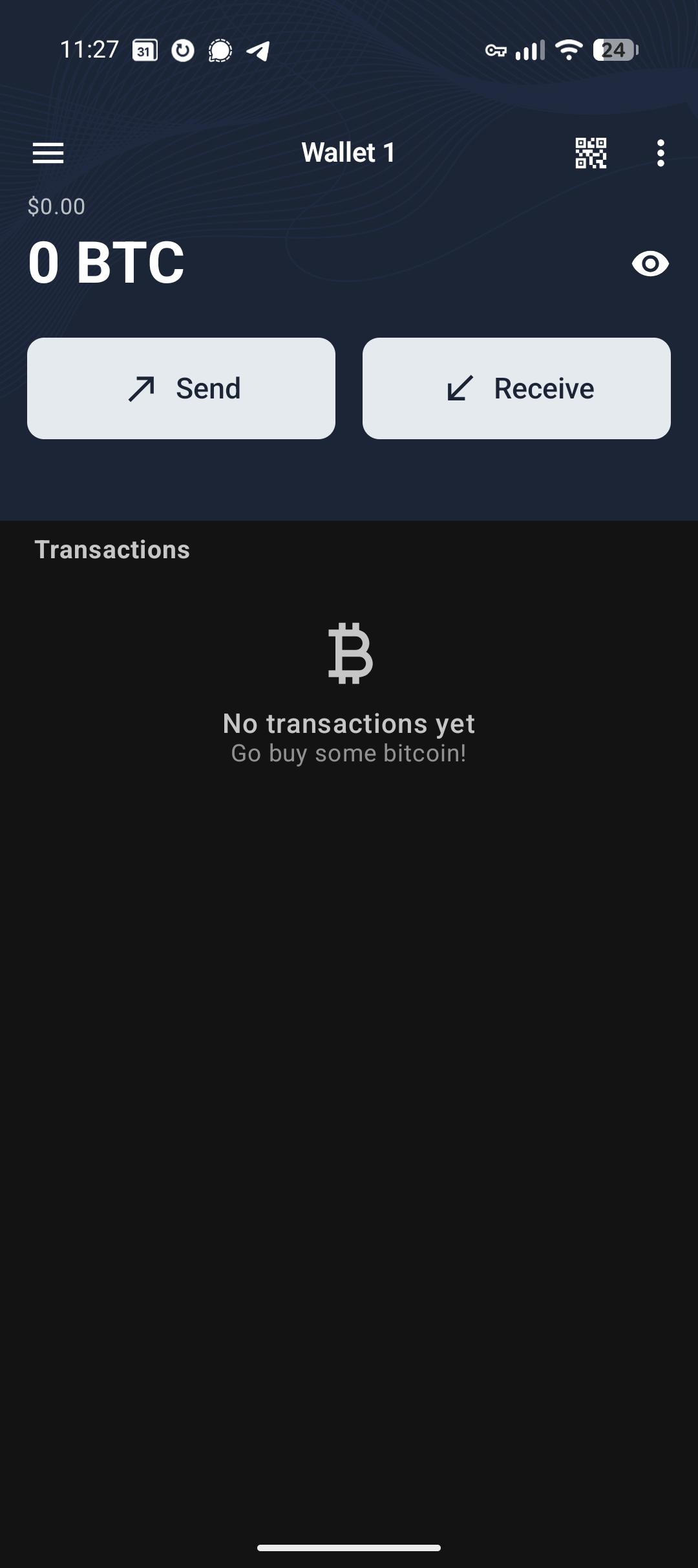 Cove, wallet home with the Receive button